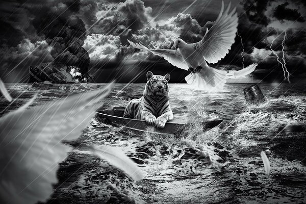 Tiger in a boat on the sea in the rain