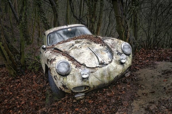 Volkswagen beetle in the old forest