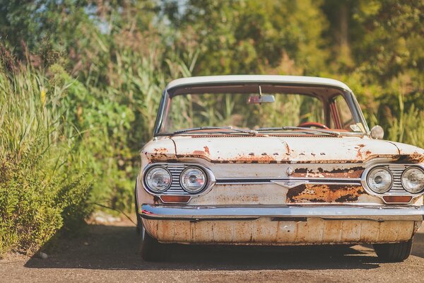 Vecchia Chevrolet Corvair sullo sfondo della foresta