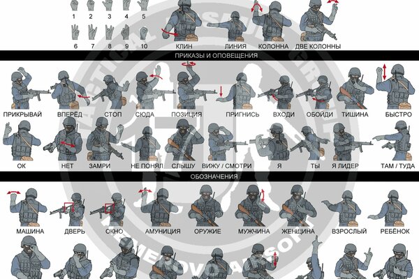 Órdenes y designaciones para las fuerzas especiales