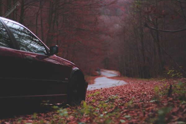 Ein BMW auf der Herbststraße