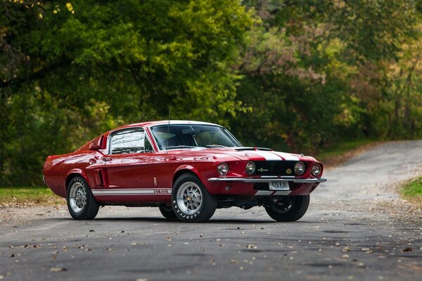 Red Ford car on the background of nature