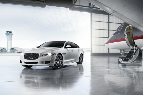 Jaguar blanco en un hangar junto al avión