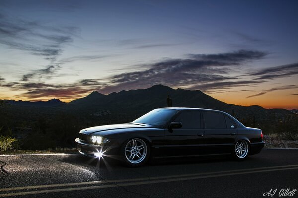 Gorgeous black boomer on the background of mountains