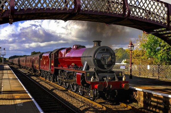 Red passenger locomotive under the bridge