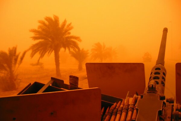 A machine gun. Palm trees. The Desert War