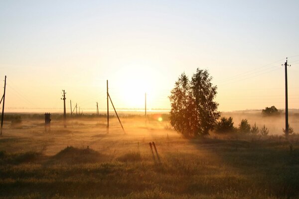 The rays of the sun on the horizon of the Russian field Going into the distance