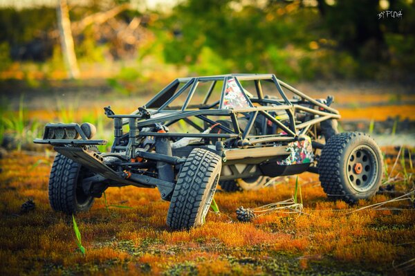 Ein Buggy-Modell. spielzeugauto Makro