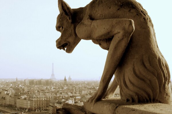 Vista de París y la fabulosa gárgola