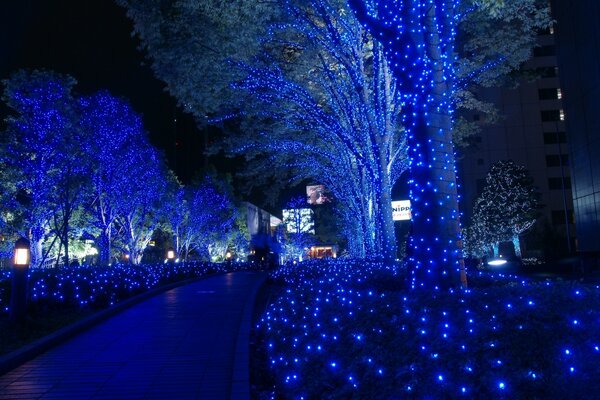 Alley in the Christmas illumination in Tokyo