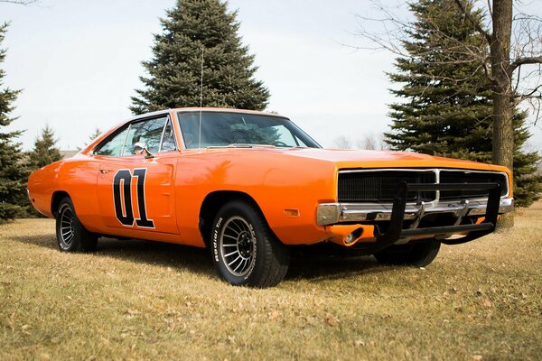 Bright orange 1969 Dodge on a forest background