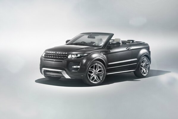 Ein Range Rover Auto Cabrio ist nicht jedermanns Sache