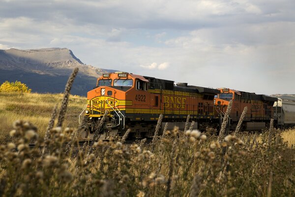 Tren en movimiento sobre rieles de hierro