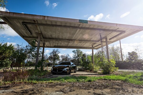 Ein Maserati in der Natur, der unter einem riesigen Baldachin steht