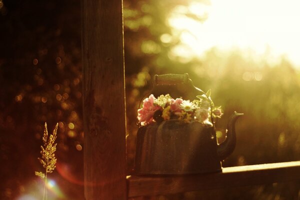 Rustic teapot and wildflowers on a sunny morning