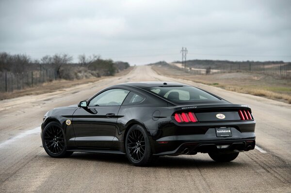 Ford mustang on the road posing