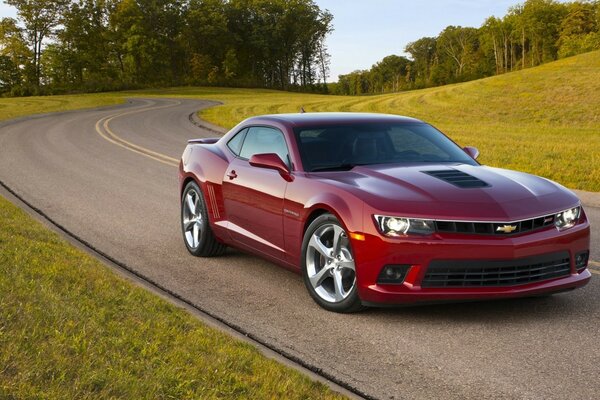 Rotes Auto corvette camaro 2014