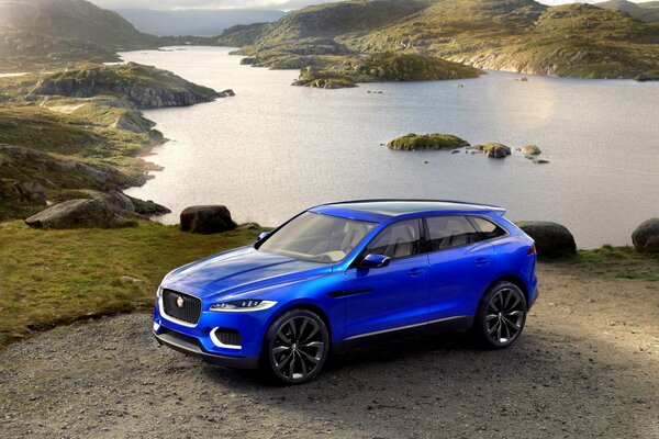 Jaguar bleu se dresse sur fond de lac