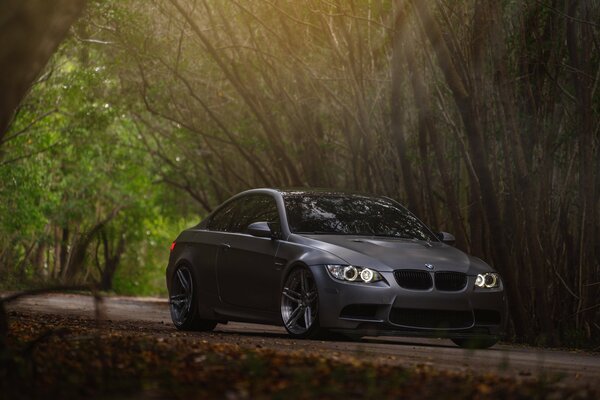 BMW is in the woods under a tree