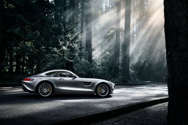 Silver Mercedes amg. Forest landscape