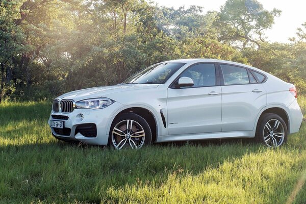 Bmw, x6 2015 Bilder in der Natur Sonne