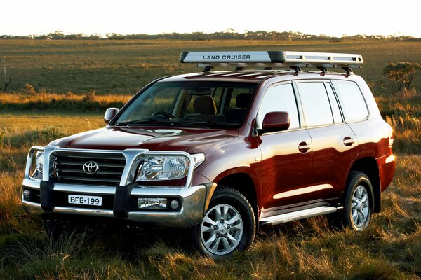 Die australische Version von Toyota als SUV auf dem Feld