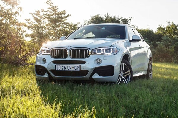 BMW blanco en la parte delantera con los faros encendidos en la hierba