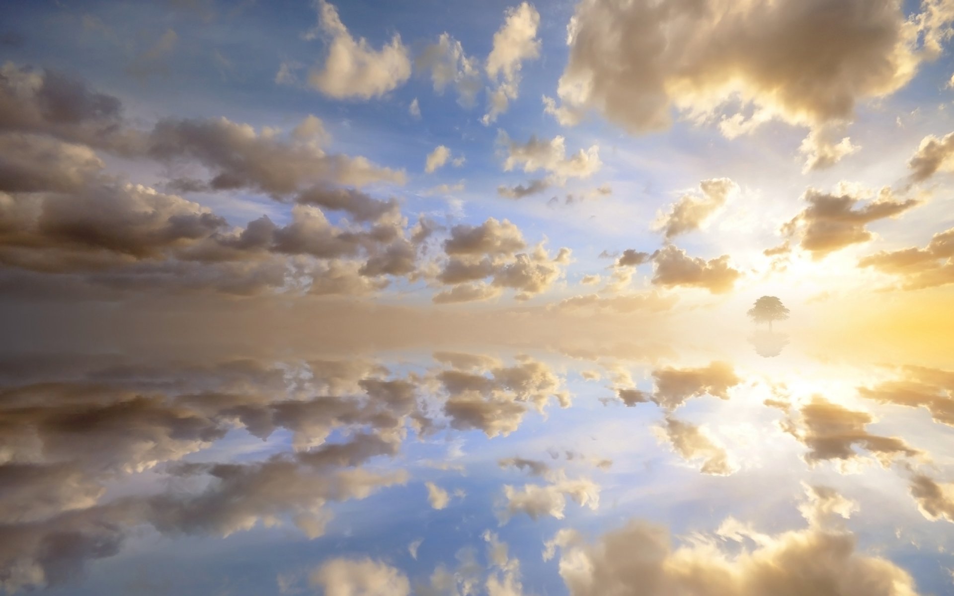 nuages ciel soleil reflets réflexion coucher de soleil horizon arbre