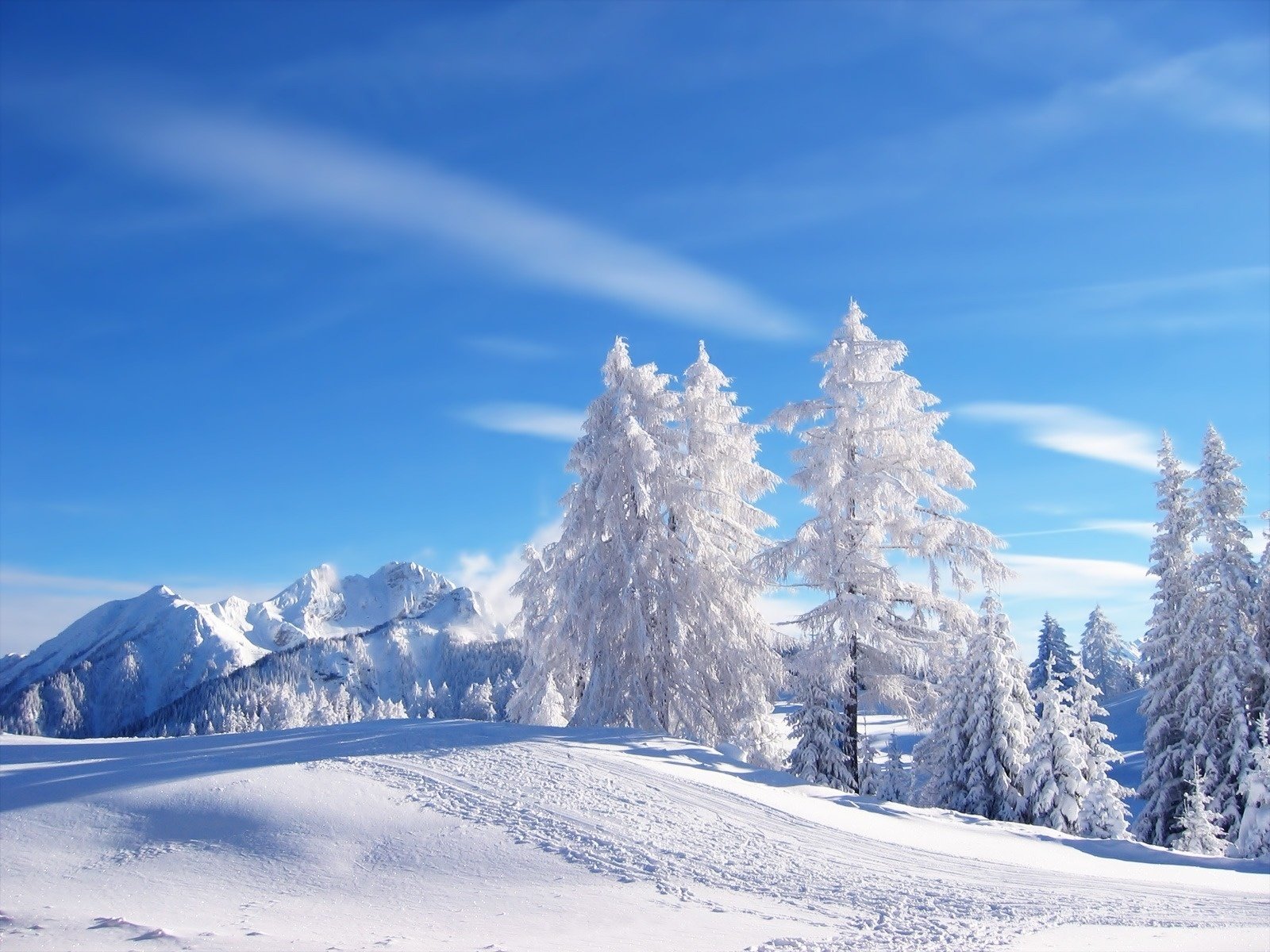 winter snow tree mountains the sky road traces tree