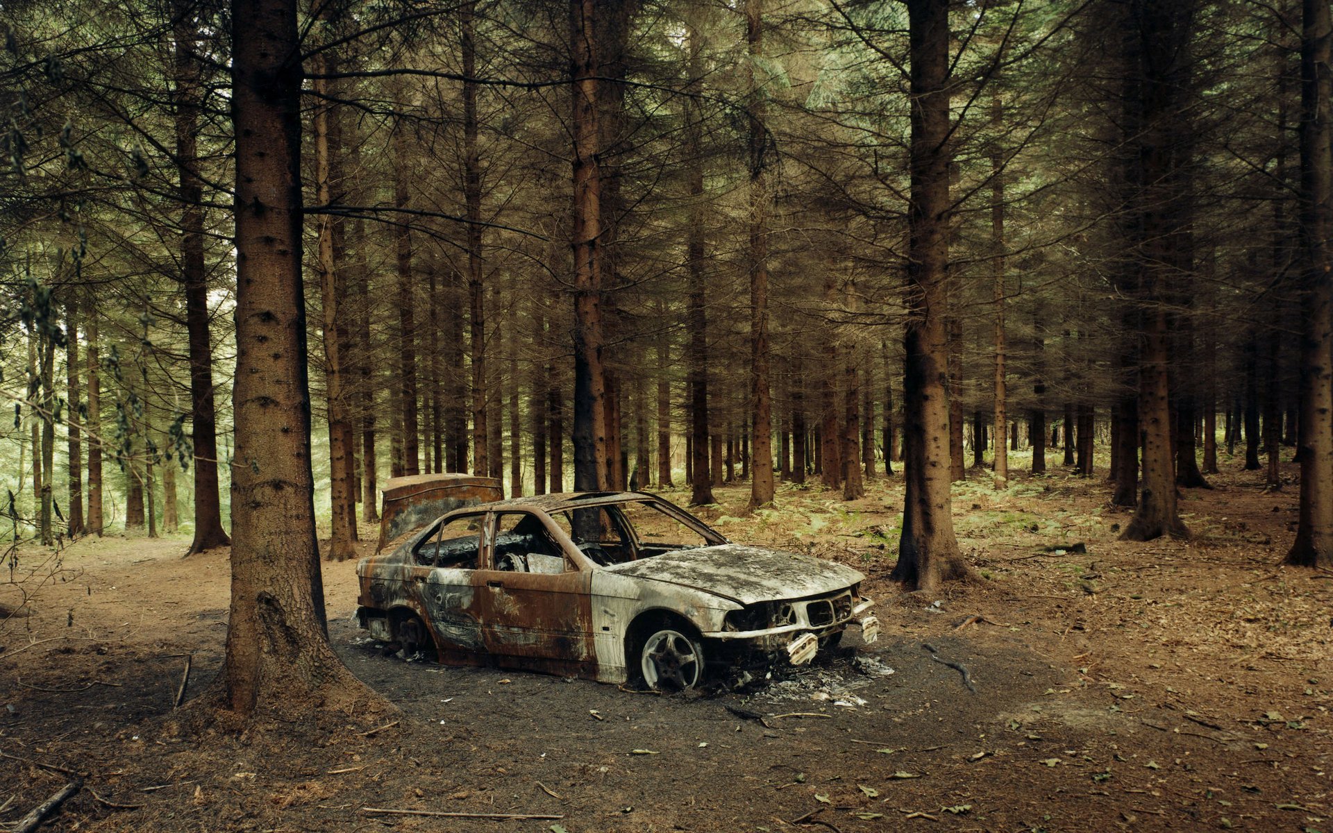 las samochód pożar bmw szkielet ziemia auto metal drzewa transport samochodowy