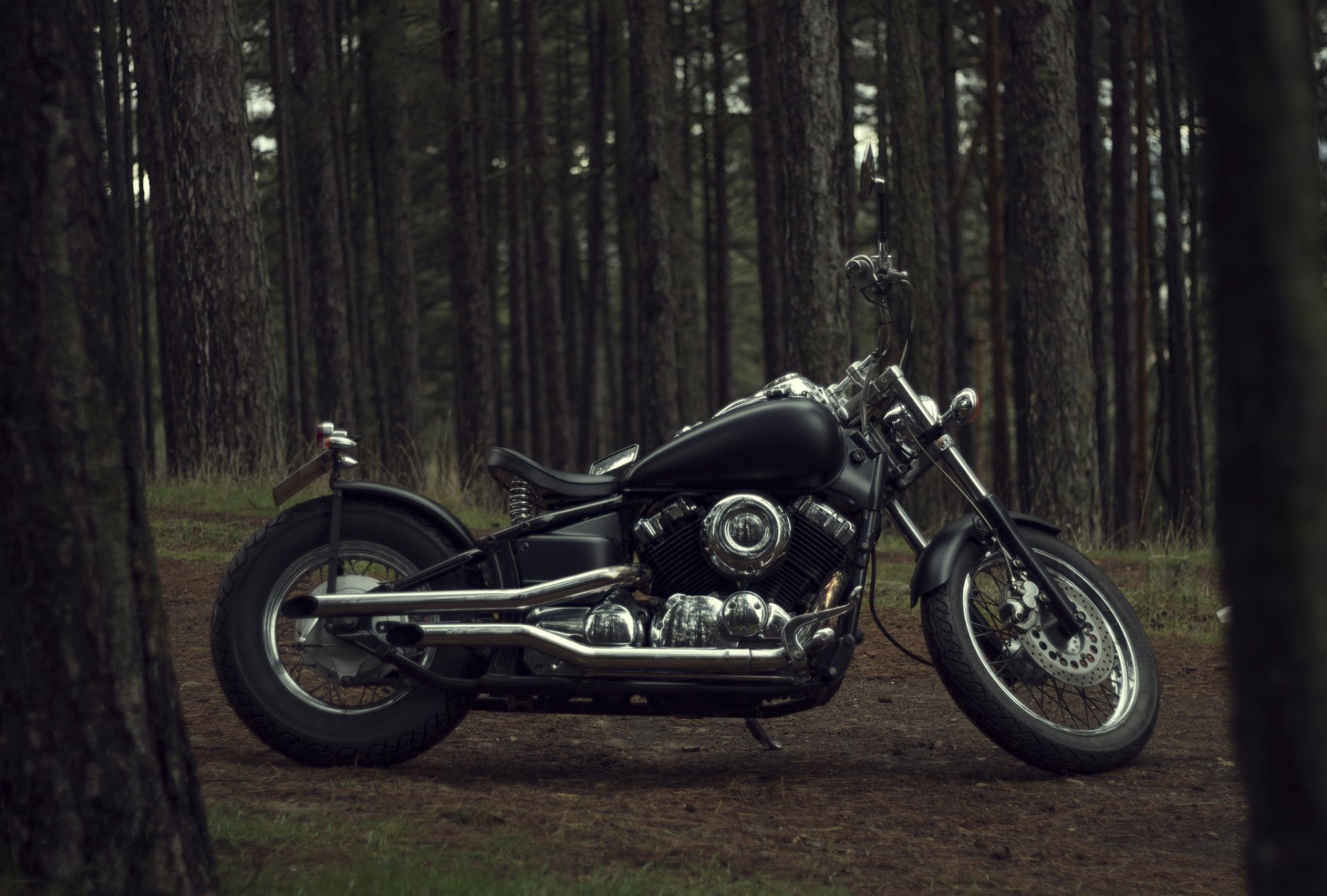 bike motorcycle design trees nature