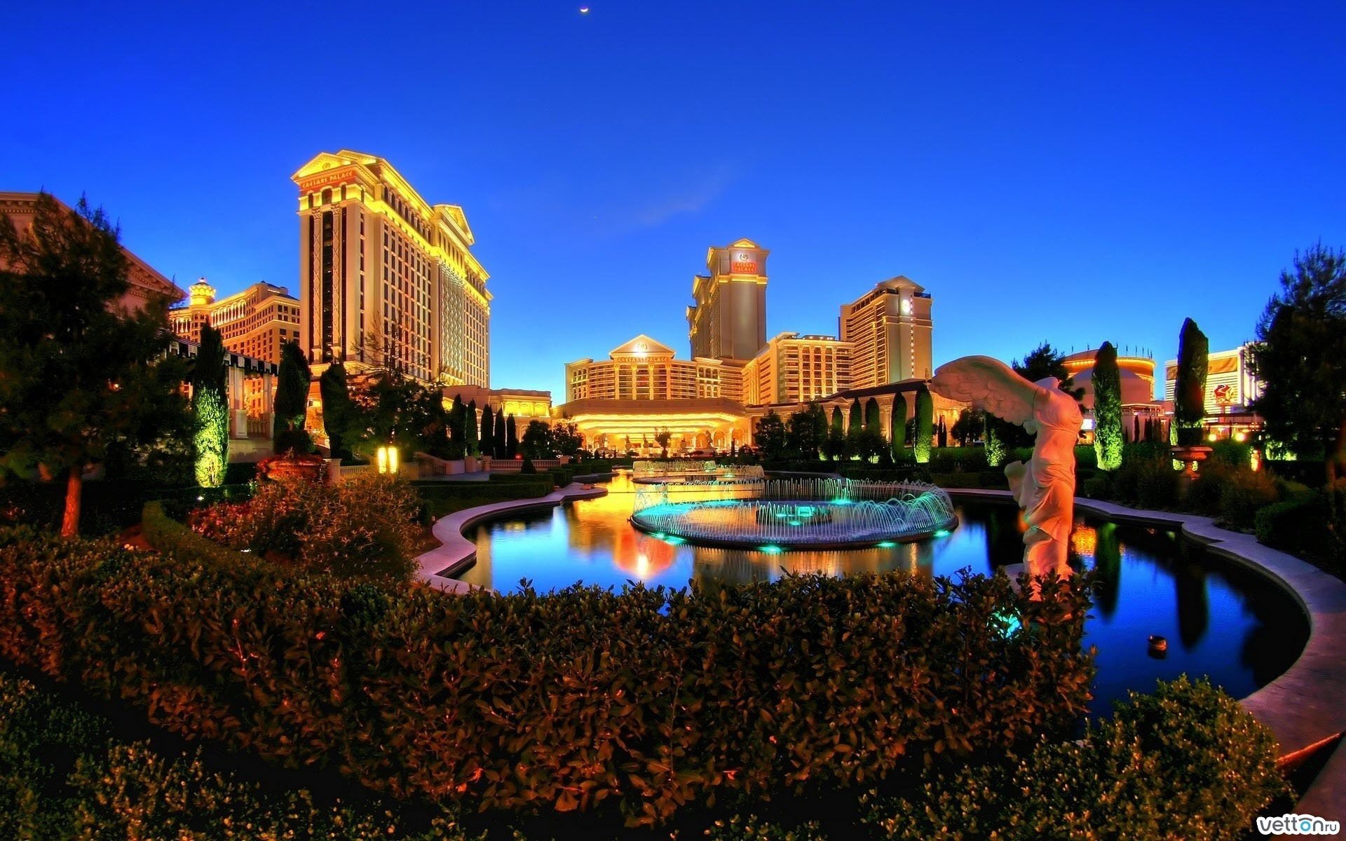 crepuscolo cielo las vegas casinò luci acqua fontana edifici cespugli luci lusso città cielo notturno luci della città notte