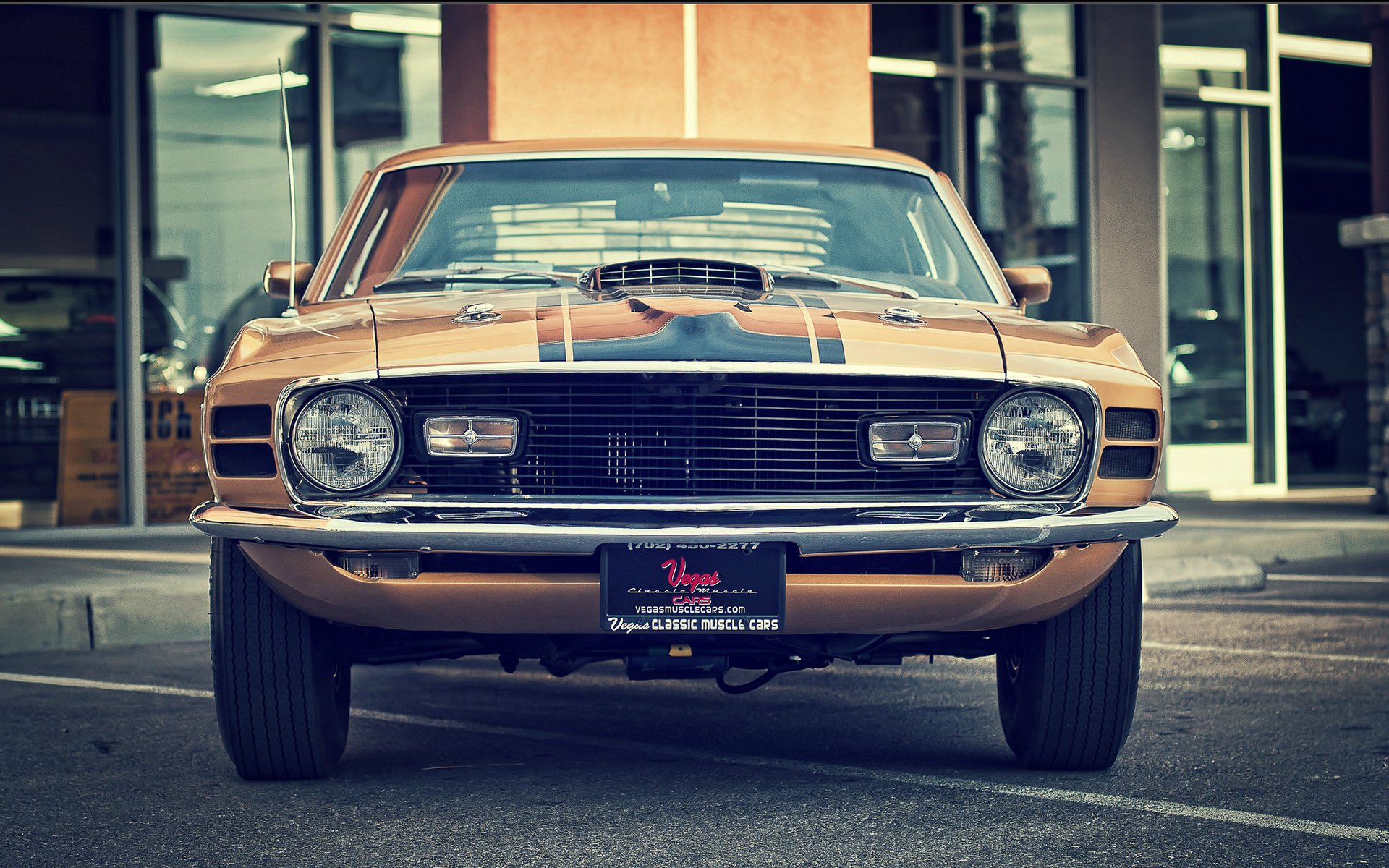 ford mustang mach 1 vintage classico