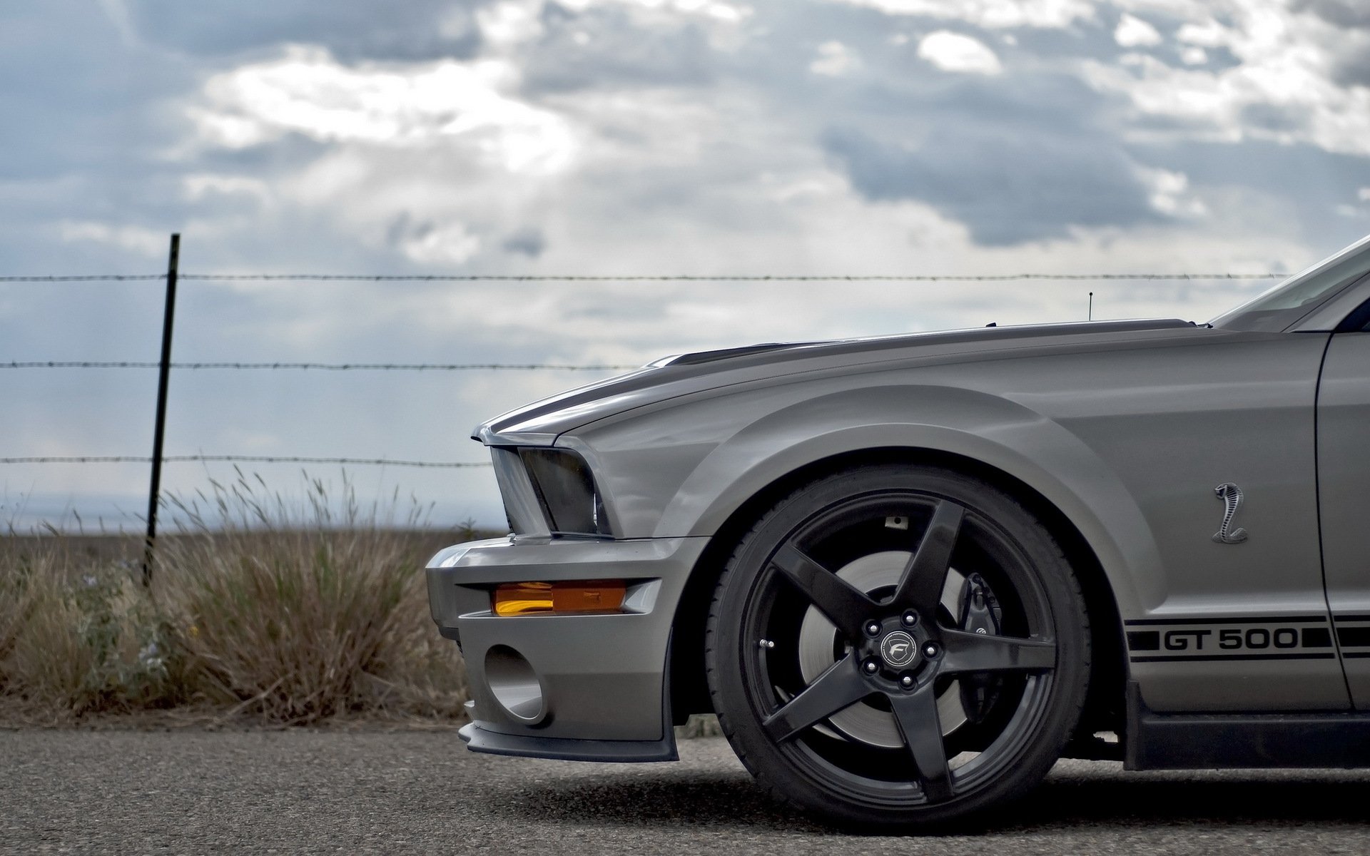 auto straße ford mustang gt 500