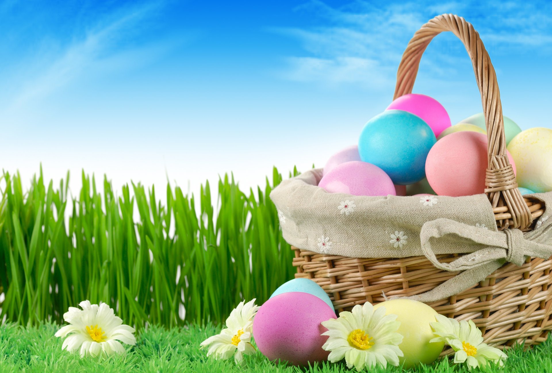 ky flowers nature grass easter holiday eggs пасха зелень ромашки яйца корзинка крашенки писанки