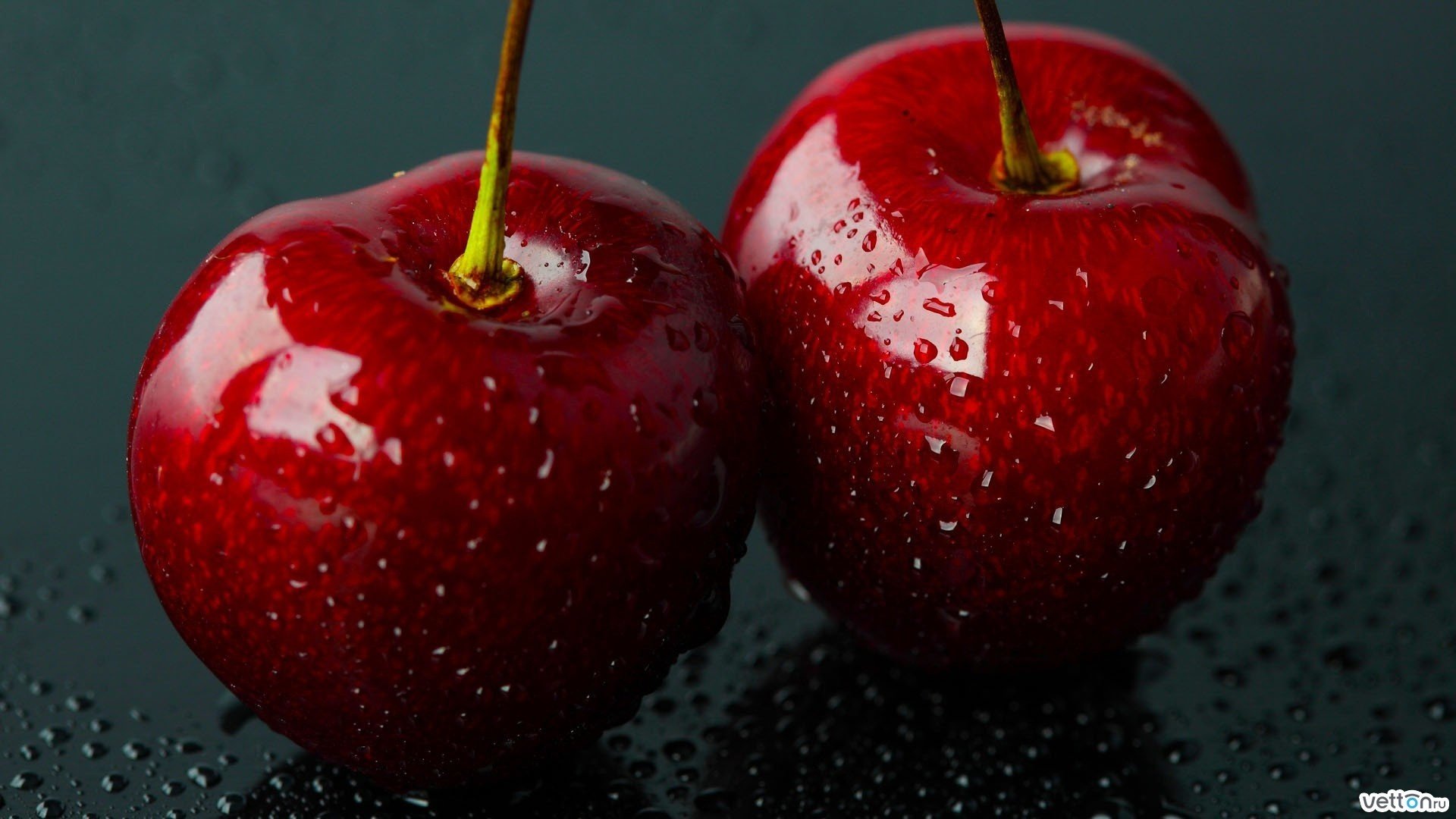 grossissement cerises gouttes macro couleur fruits baies