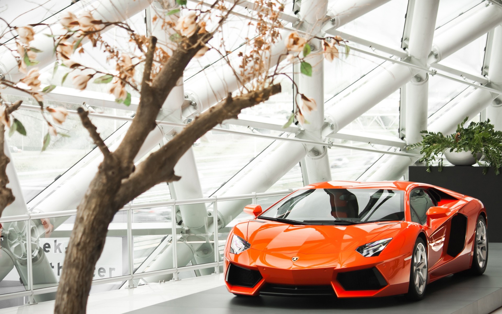 2013 lp700 lamborghini aventador