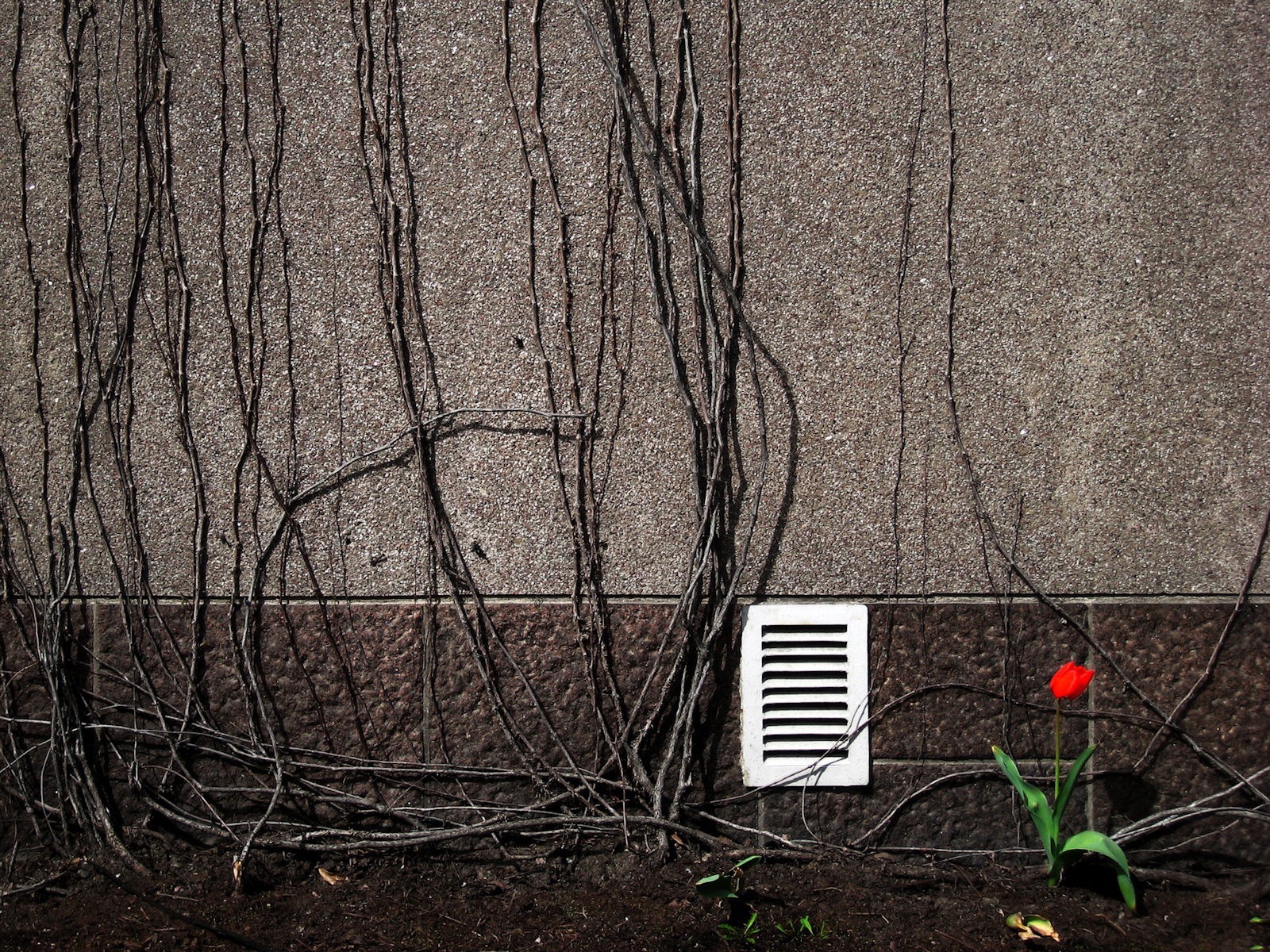 parete rami ventilazione fiore