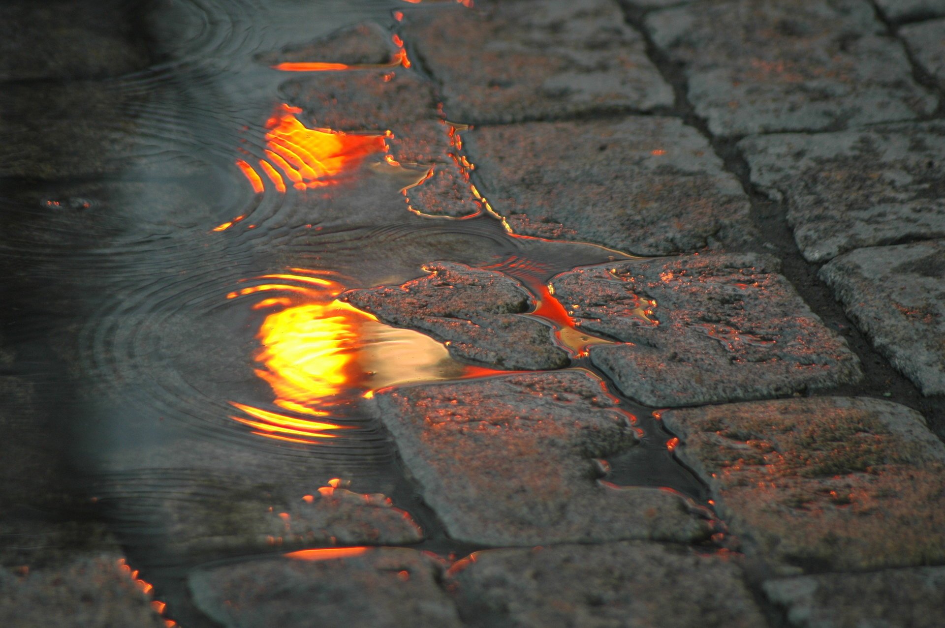 charco calle reflexión luces adoquines agua piedras luces de la ciudad