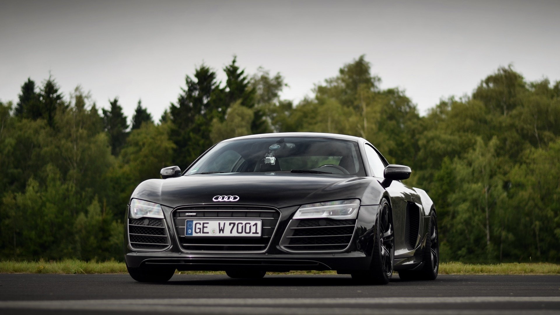 árboles carretera auto audi r8 v10