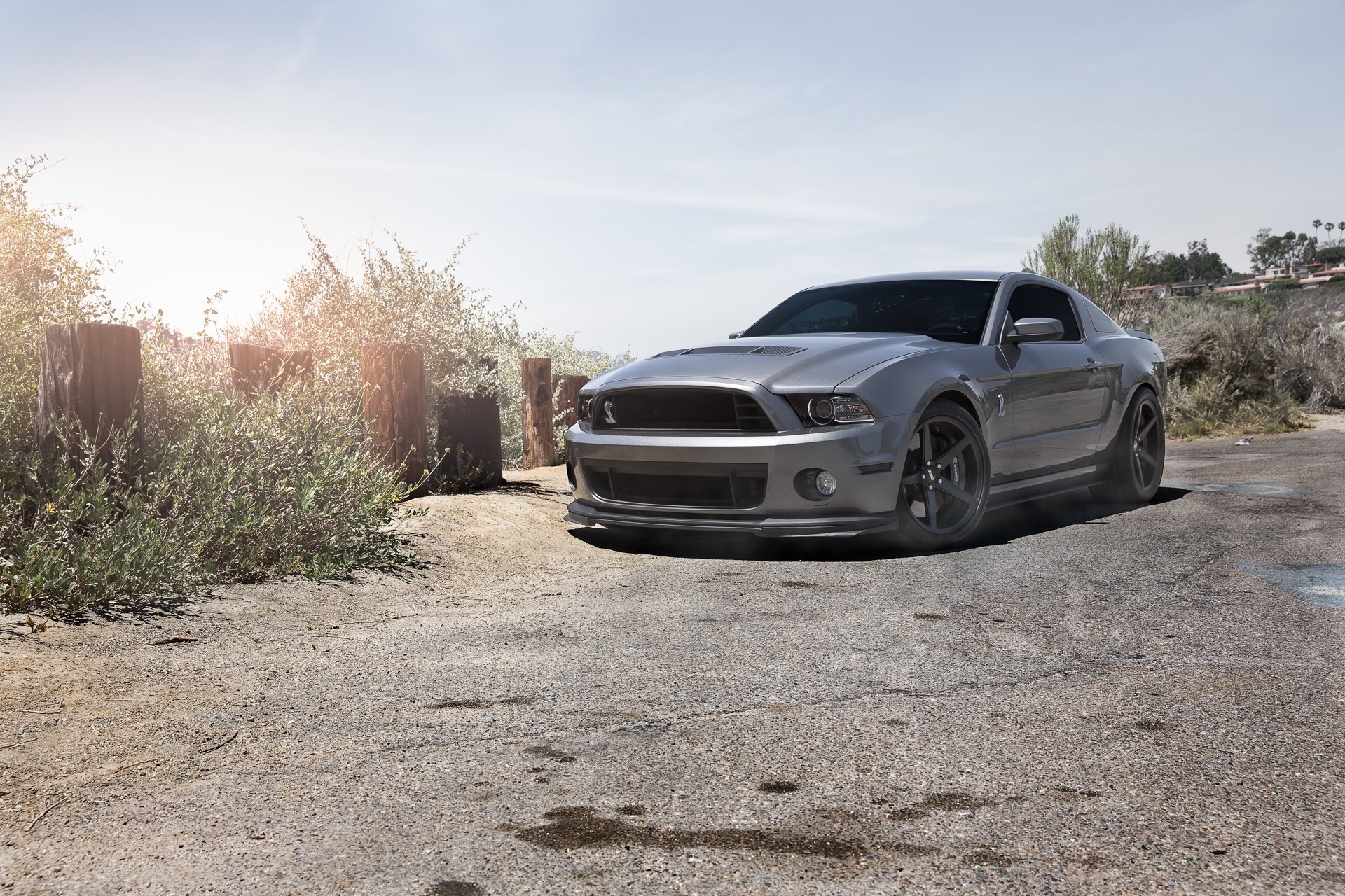 ford mustang gt500 shelby gris teñido vista frontal cielo