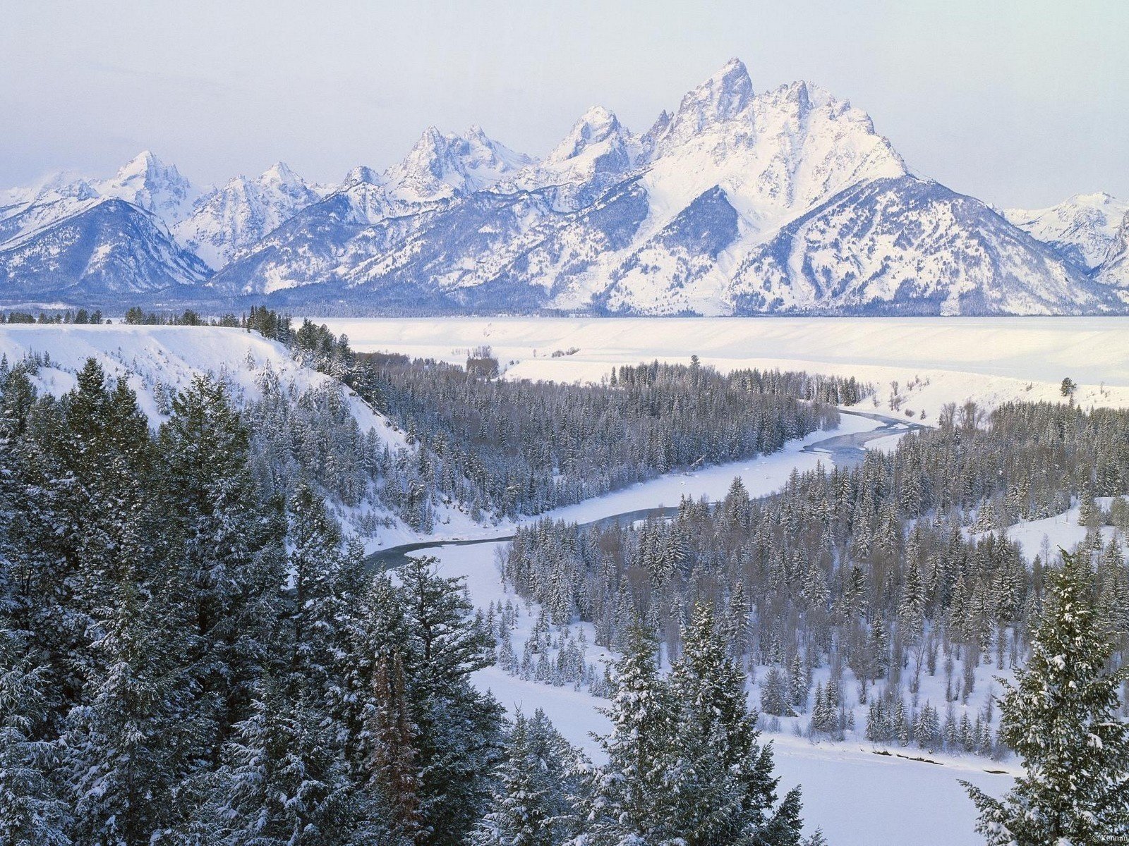 winter mountains tree snow view river photo forest