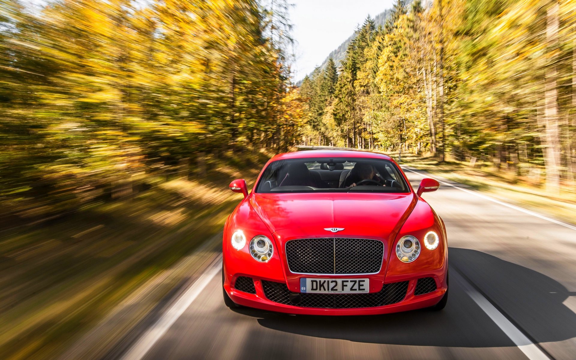 bentley continental gt auto anteriore auto cofano rosso foresta in movimento fari