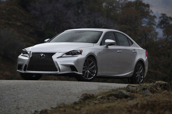 Hermoso Lexus en el fondo de la naturaleza con una brutal rejilla del radiador