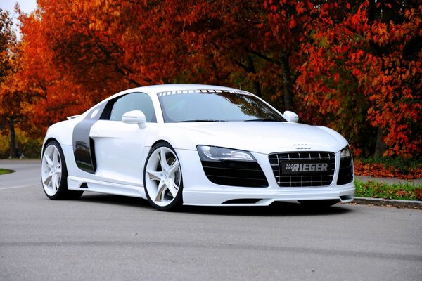 Sports car in autumn colors