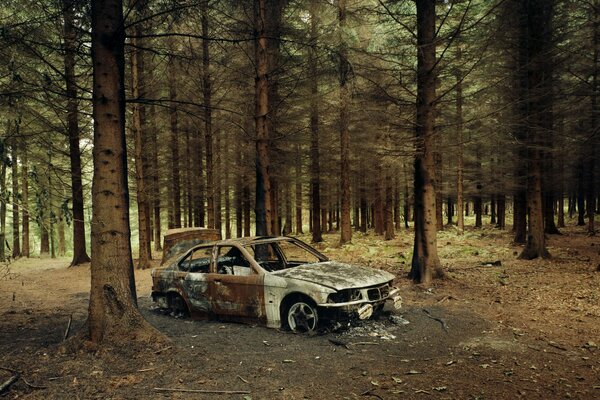 Vehicles left in the forest after a fire