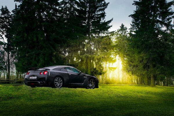 Black matte Japanese sports car parked in the woods