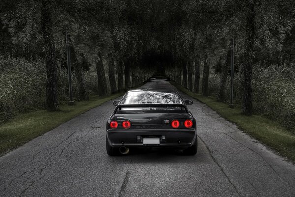 Voiture noire Nissan sur la route dans la forêt