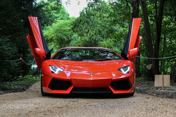 Orange-red Lamborghini aventador with open doors