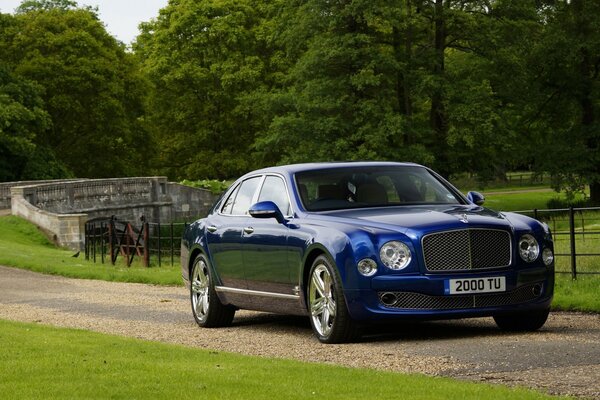 Bentley azul nacarado en el fondo del parque